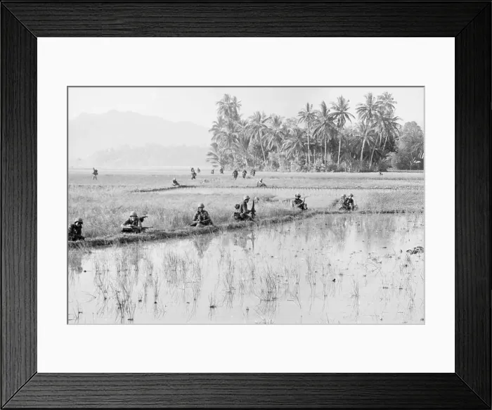 Framed Print : Soldiers Wading in Rice Paddy Framed Print : Soldiers Wading in Rice Paddy