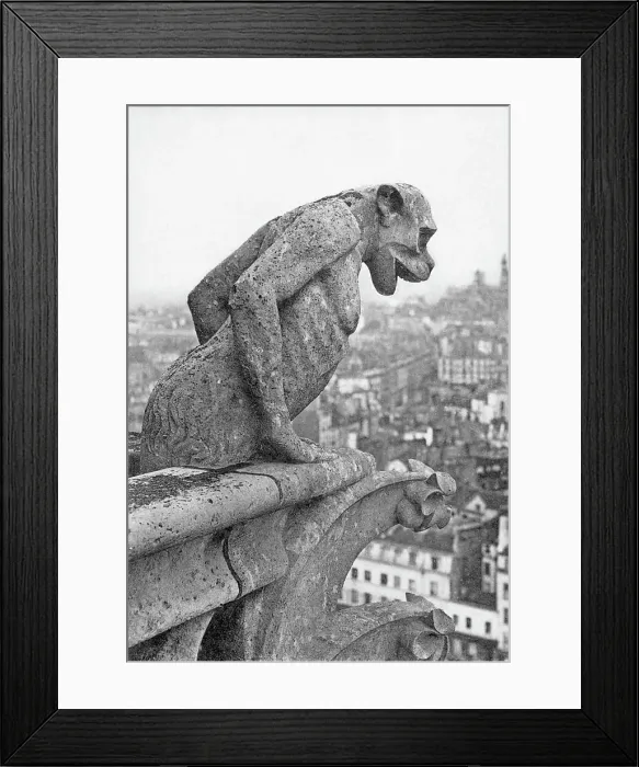 Framed Print : Notre Dame Cathedral Gargoyle Paris Framed Print : Notre Dame Cathedral Gargoyle Paris