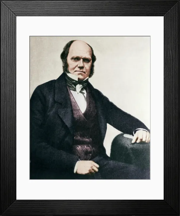 Framed Print : Charles Darwin Framed Print : Charles Darwin