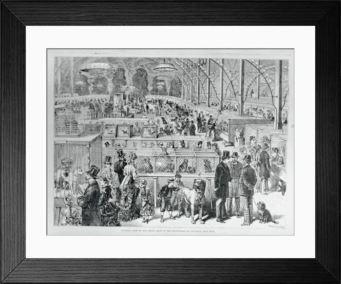 Framed Print : Dog Shows. General view of the Bench show in the Hippodrome, NY, 1877 Framed Print : Dog Shows. General view of the Bench show in the Hippodrome, NY, 1877