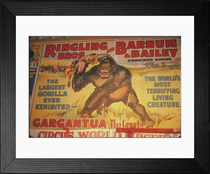Framed Print : Gorilla on Circus Poster Framed Print : Gorilla on Circus Poster