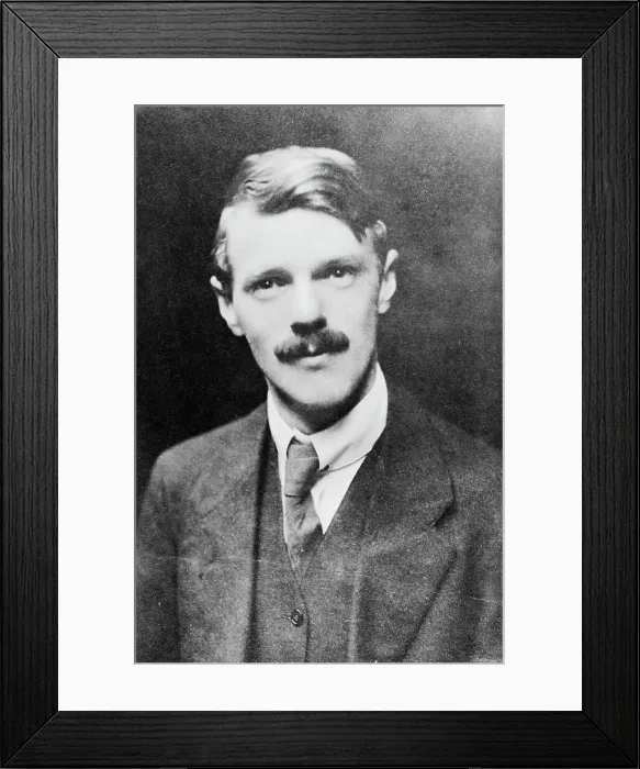 Framed Print : Portrait of Author David H Lawrence Framed Print : Portrait of Author David H Lawrence