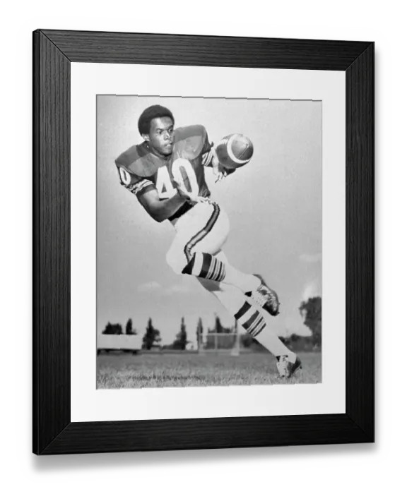 Framed Print : Gale Sayers of the Chicago Bears Making a Running Catch Framed Print : Gale Sayers of the Chicago Bears Making a Running Catch