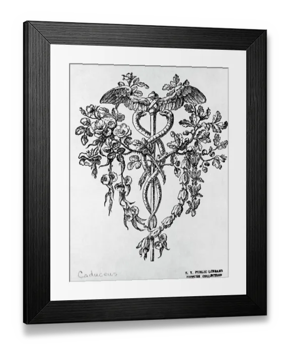 Framed Print : Caduceus With Decorative Floral Design Framed Print : Caduceus With Decorative Floral Design