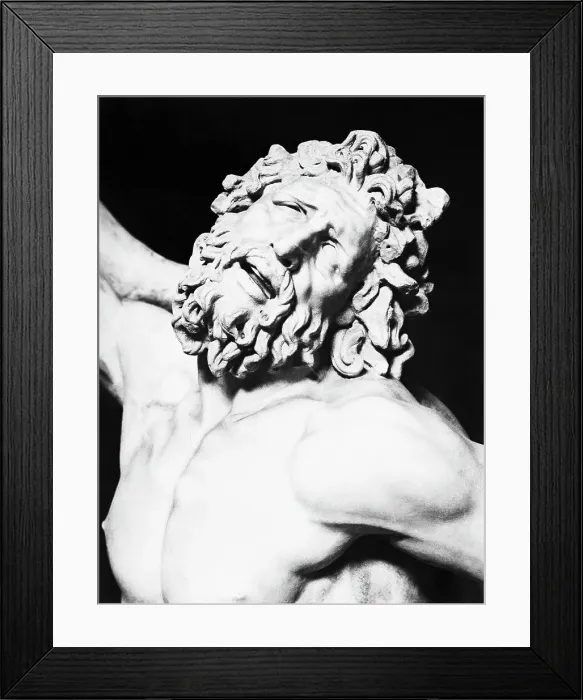 Framed Print : Detail of the Head of Laocoon from The Laocoon Group Framed Print : Detail of the Head of Laocoon from The Laocoon Group