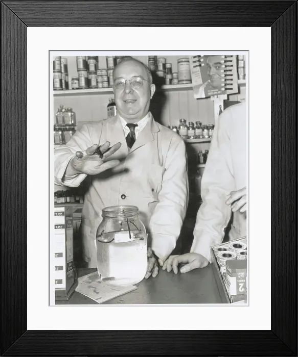 Framed Print : Fred Fienup Holding Leech