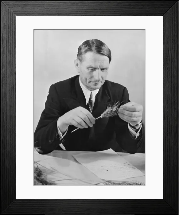 Framed Print : Geneticist Trofim D. Lysenko Framed Print : Geneticist Trofim D. Lysenko