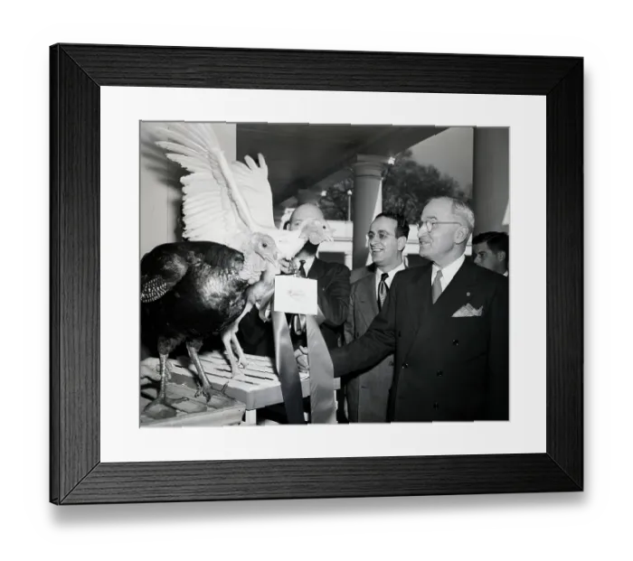 Framed Print : President Truman Presented With Turkeys Framed Print : President Truman Presented With Turkeys