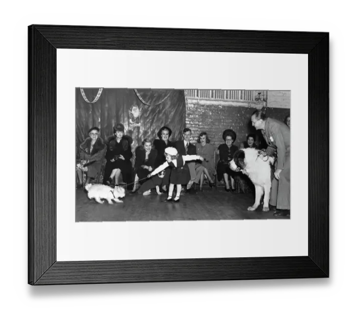 Framed Print : Slow Introductions Framed Print : Slow Introductions