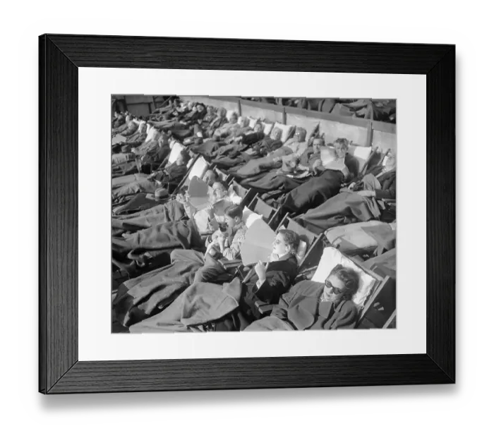 Framed Print : Sunbathing in Autumn Framed Print : Sunbathing in Autumn
