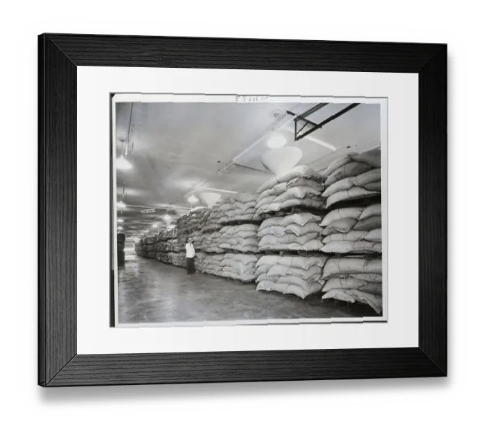 Framed Print : Coffee Beans In Ware House Framed Print : Coffee Beans In Ware House
