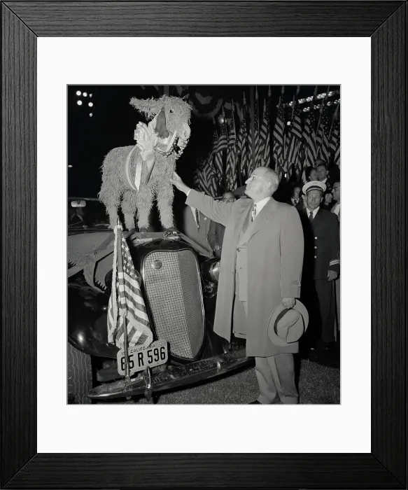Framed Print : Truman Touching Donkey Mascot Framed Print : Truman Touching Donkey Mascot
