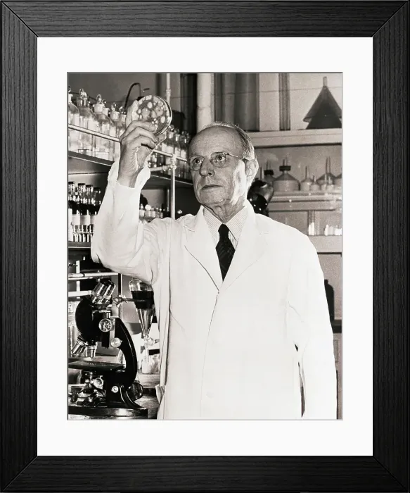 Framed Print : Dr. Benjamin Duggar Looking at Petri Dish Framed Print : Dr. Benjamin Duggar Looking at Petri Dish