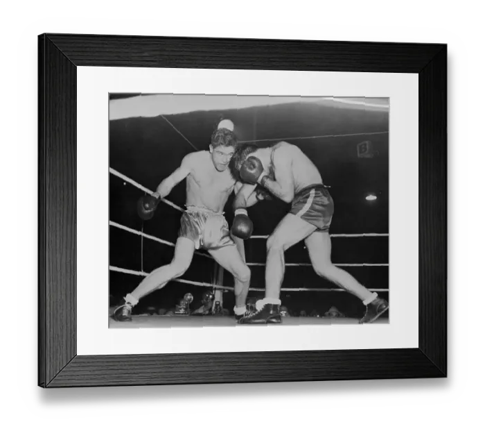 Framed Print : French and Belgian Boxers in Action Framed Print : French and Belgian Boxers in Action