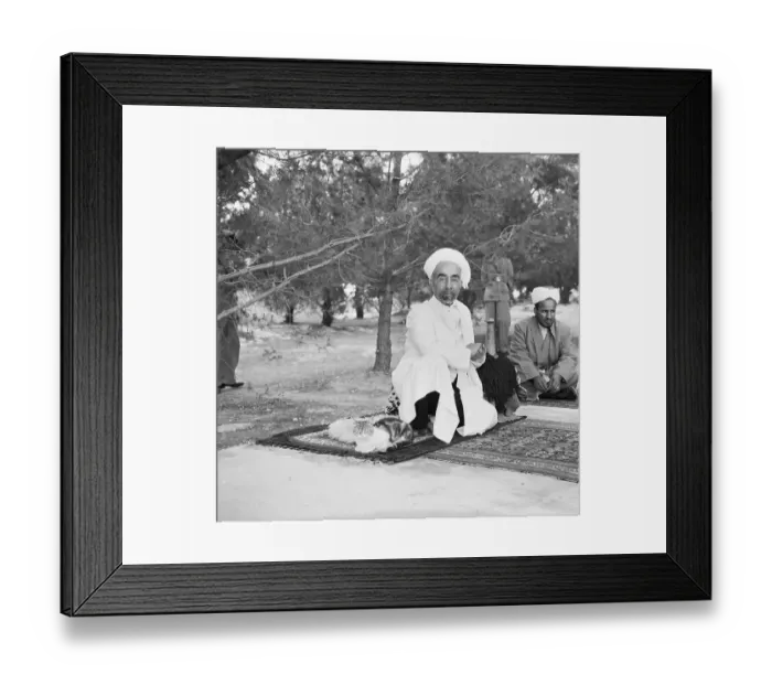Framed Print : King Abdullah and Cat on Persian Rug Framed Print : King Abdullah and Cat on Persian Rug