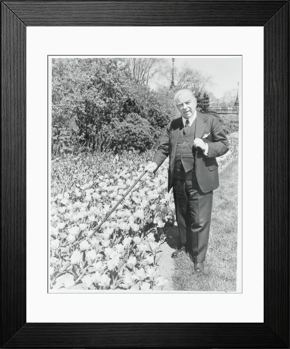 Framed Print : W.L. Mackenzie King Posing Next to Tulip Bed
