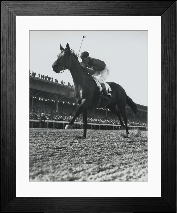 Framed Print : Citation Winning Preakness Framed Print : Citation Winning Preakness