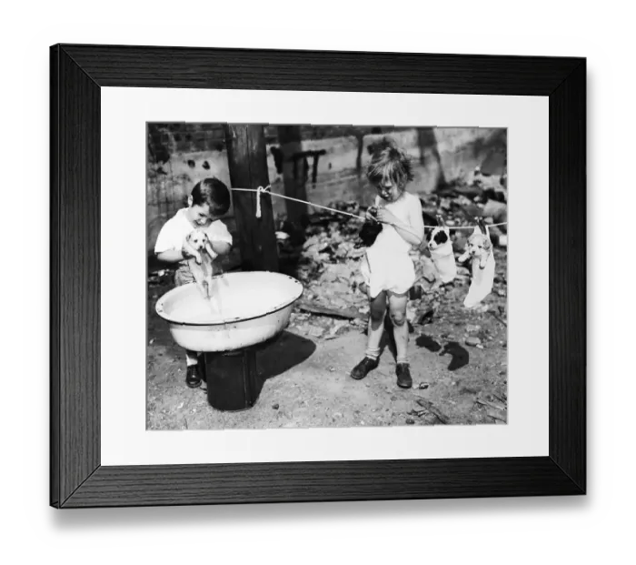 Framed Print : Hanging Puppies Out To Dry Framed Print : Hanging Puppies Out To Dry