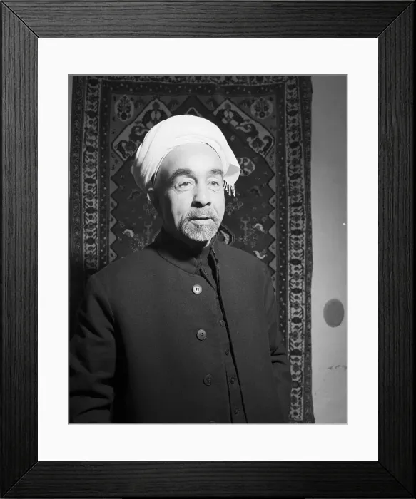 Framed Print : King Abdullah Stands Before Tapestry Framed Print : King Abdullah Stands Before Tapestry