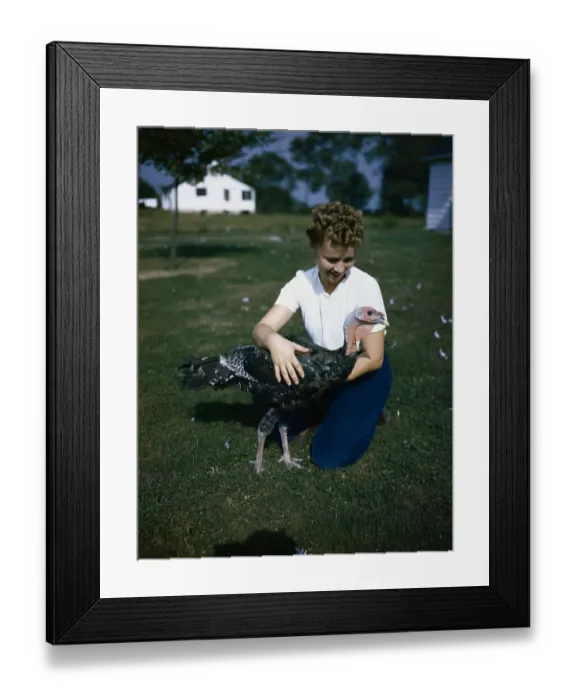 Framed Print : Woman with Thanksgiving Turkey on Lawn Framed Print : Woman with Thanksgiving Turkey on Lawn