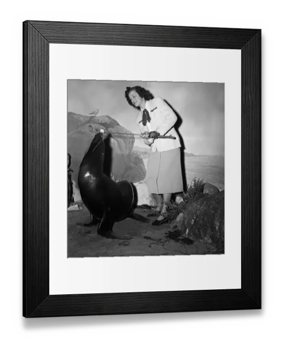 Framed Print : Babe Didrikson and Circus Seal Framed Print : Babe Didrikson and Circus Seal