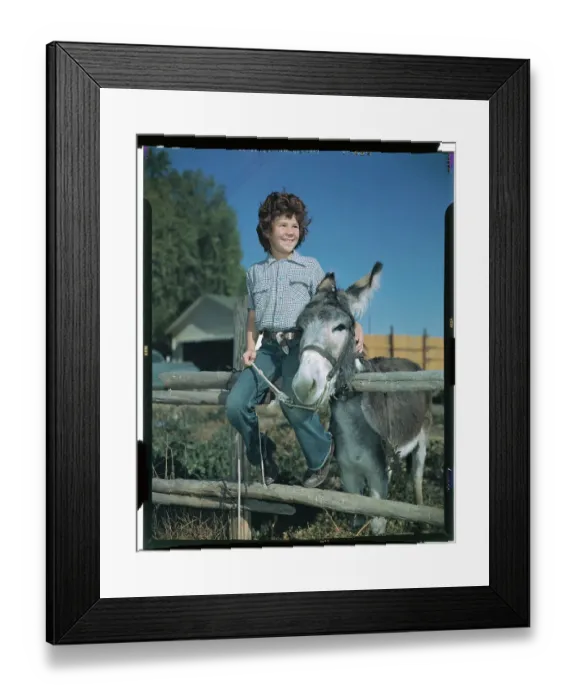 Framed Print : Girl Posing with a Mule Framed Print : Girl Posing with a Mule