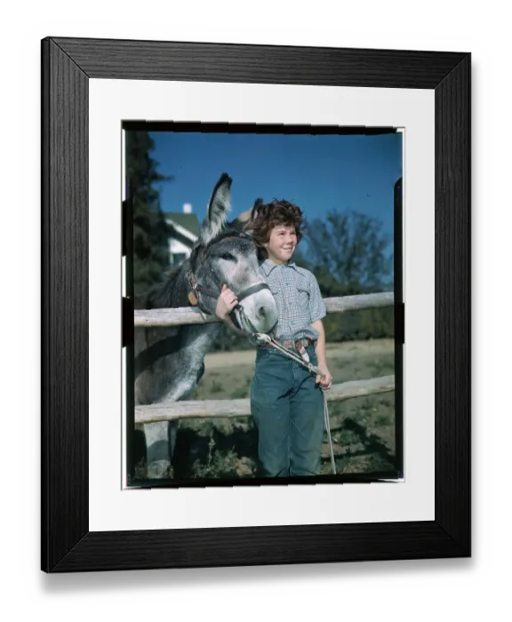 Framed Print : Girl Posing with a Mule Framed Print : Girl Posing with a Mule