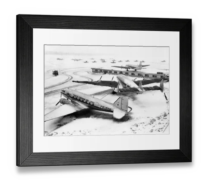 Framed Print : Wings Clipped by Storm Framed Print : Wings Clipped by Storm