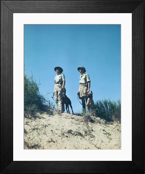 Framed Print : Members of Israel Army Framed Print : Members of Israel Army