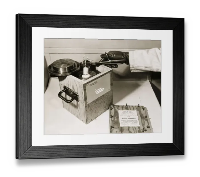 Framed Print : Worker Placing Radioactive Isotope into Shipping Box Framed Print : Worker Placing Radioactive Isotope into Shipping Box