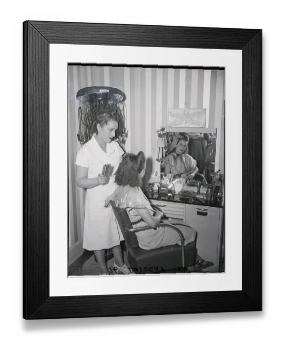 Framed Print : Woman Gets Her Hair Done In Salon Framed Print : Woman Gets Her Hair Done In Salon