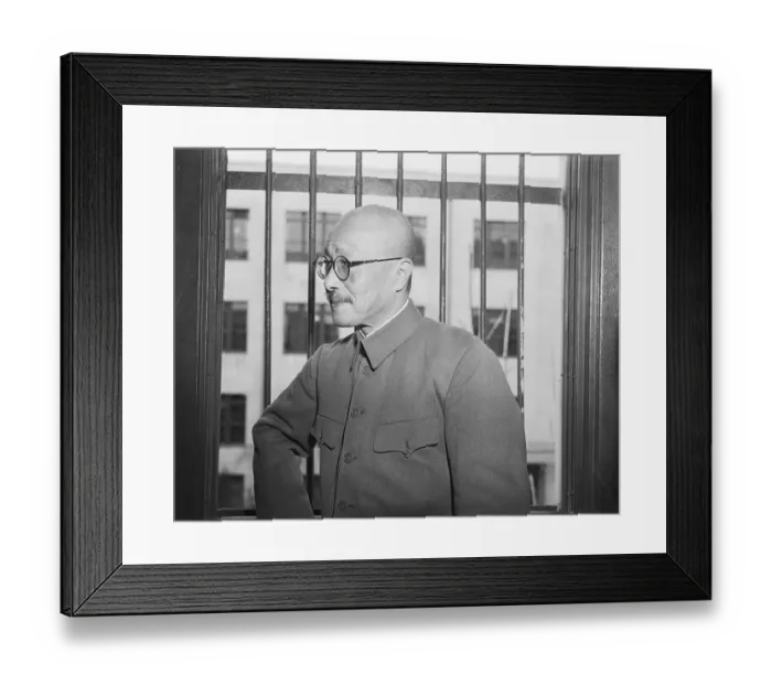 Framed Print : Hideko Tojo Framed Print : Hideko Tojo
