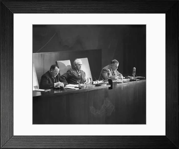 Framed Print : United Nations Members Voting Framed Print : United Nations Members Voting