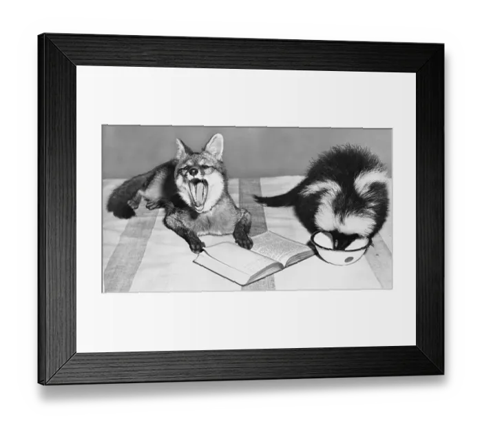 Framed Print : The Rich, Full Life Framed Print : The Rich, Full Life