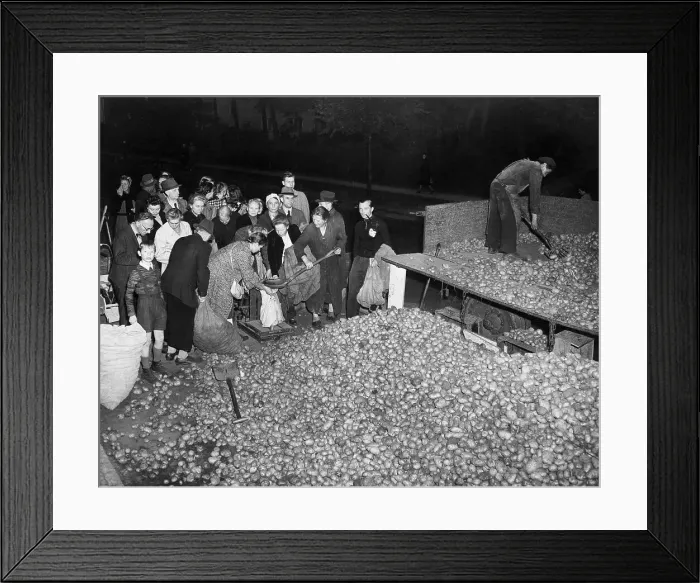 Framed Print : Berliners Gathering Potatoes Framed Print : Berliners Gathering Potatoes