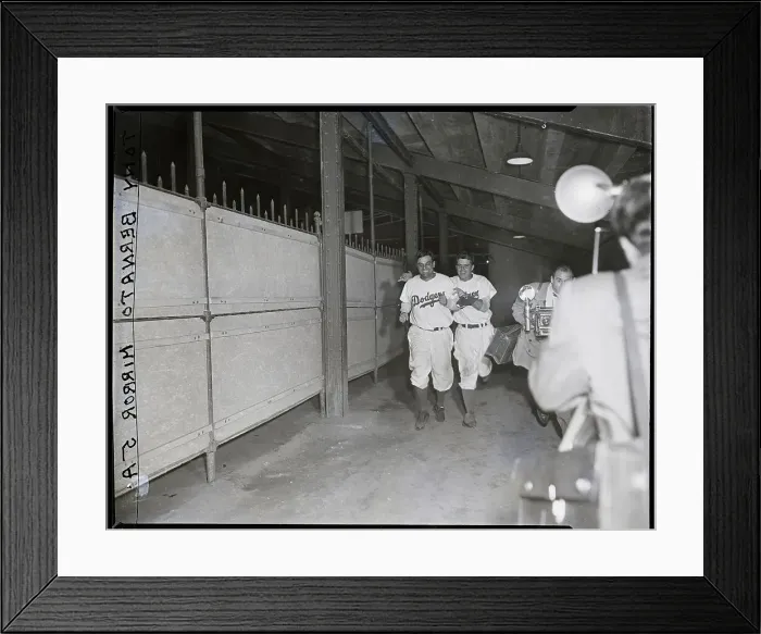 Framed Print : Two Happy Dodgers Framed Print : Two Happy Dodgers