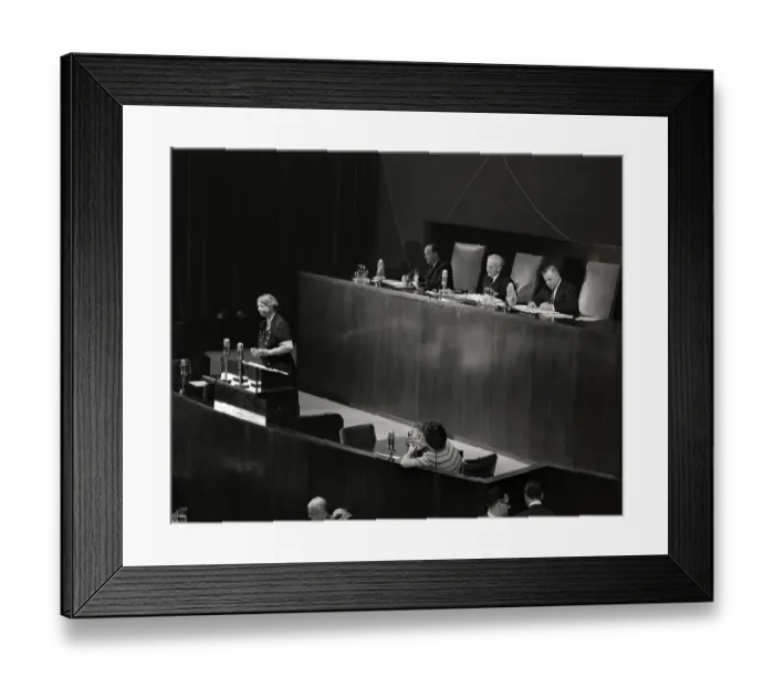 Framed Print : Eleanor Roosevelt Speaking at the United Nations General Assembly Framed Print : Eleanor Roosevelt Speaking at the United Nations General Assembly