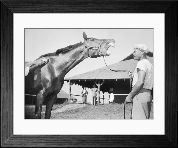 Framed Print : Profile Of Horse W / Mouth Stretched Open Framed Print : Profile Of Horse W / Mouth Stretched Open