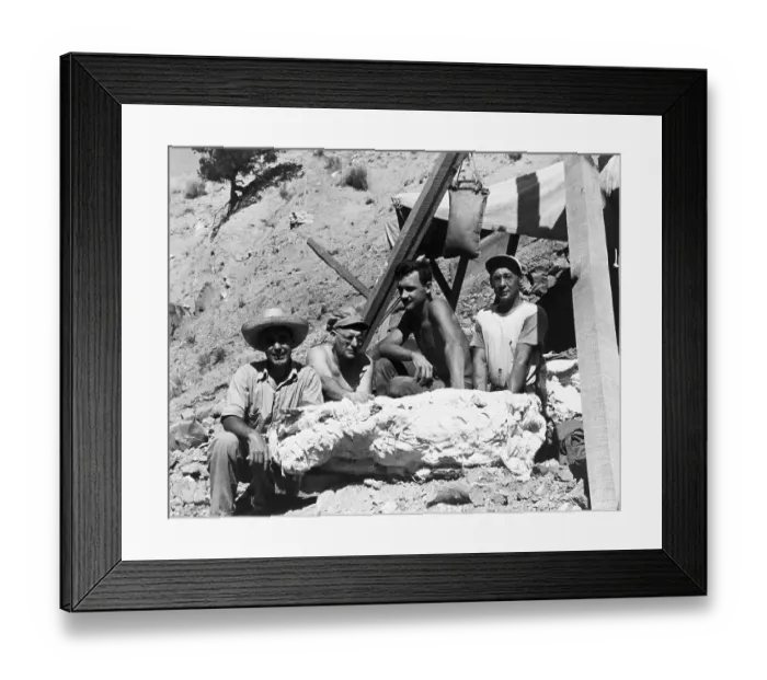 Framed Print : Archaeologists With Rock Containing Fossil Framed Print : Archaeologists With Rock Containing Fossil