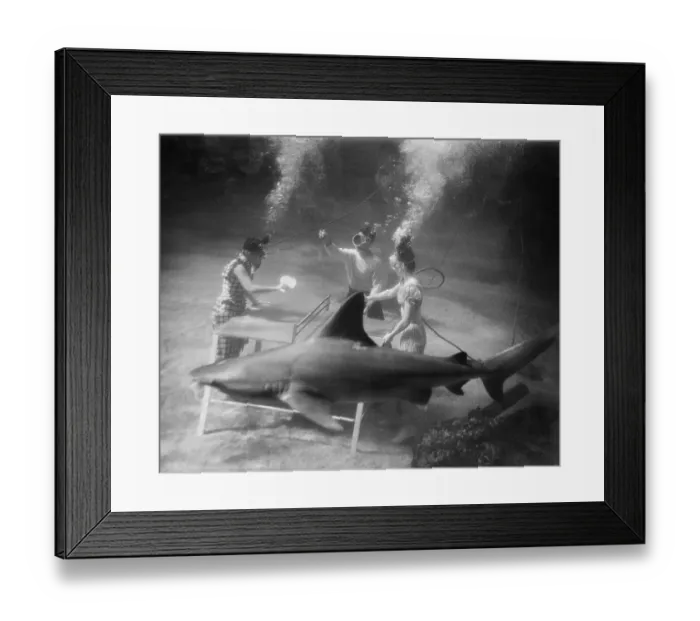 Framed Print : People Playing Ping Pong Under Water Framed Print : People Playing Ping Pong Under Water