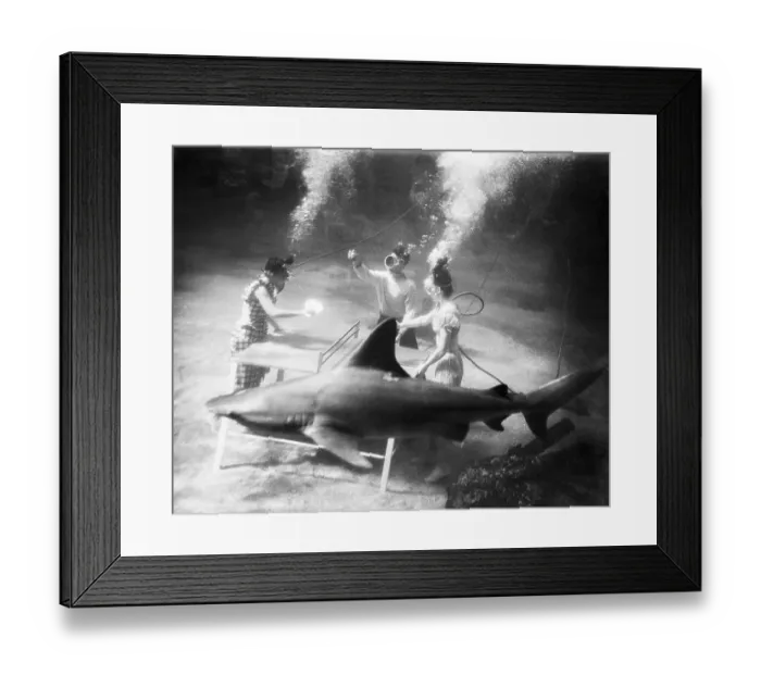 Framed Print : People Playing Ping Pong Under Water Framed Print : People Playing Ping Pong Under Water