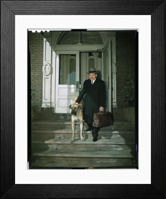Framed Print : Thomas Dewey Walking His Dog Framed Print : Thomas Dewey Walking His Dog