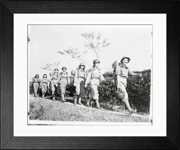Framed Print : Army Nurse Pushing Through Bamboo Shrub Framed Print : Army Nurse Pushing Through Bamboo Shrub