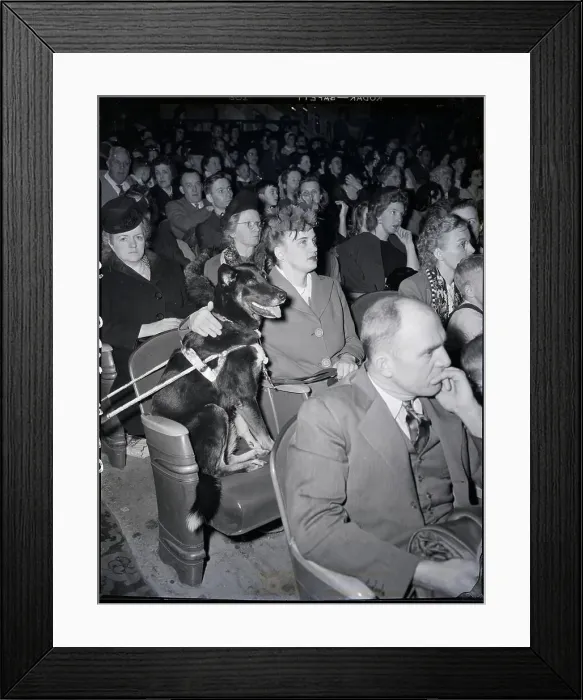 Framed Print : Blind Woman And Dog At Movie Theater Framed Print : Blind Woman And Dog At Movie Theater