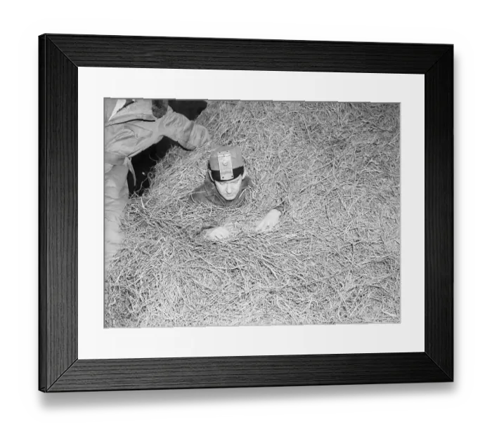 Framed Print : Finding a Needle in a Haystack Framed Print : Finding a Needle in a Haystack