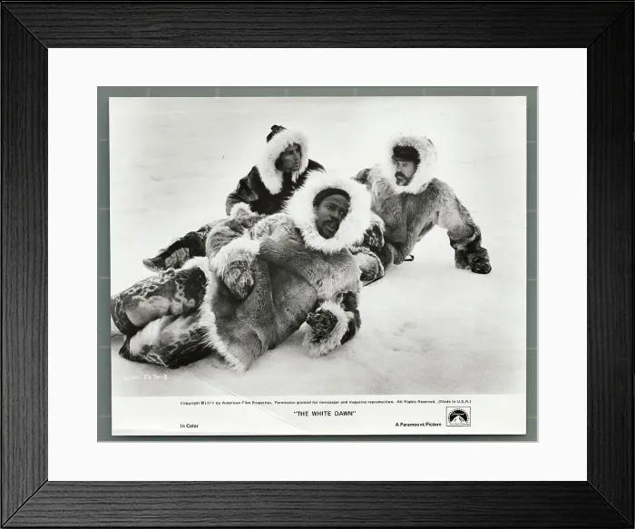 Framed Print : Stars of The White Dawn Lying in Snow Framed Print : Stars of The White Dawn Lying in Snow