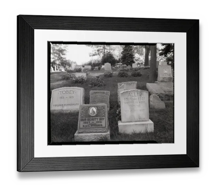 Framed Print : Hartsdale Canine Cemetery Framed Print : Hartsdale Canine Cemetery