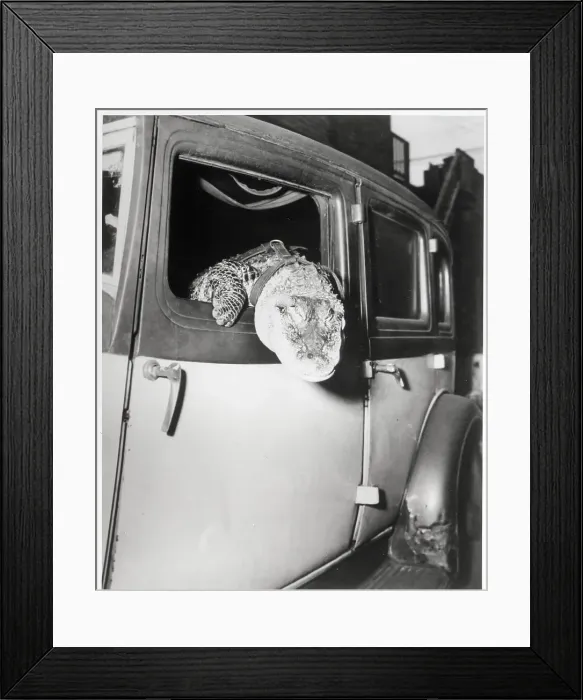 Framed Print : Gatie the Alligator Riding in Car Framed Print : Gatie the Alligator Riding in Car