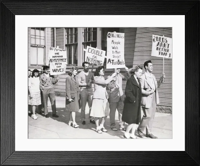 Framed Print : Students Protesting at College Framed Print : Students Protesting at College