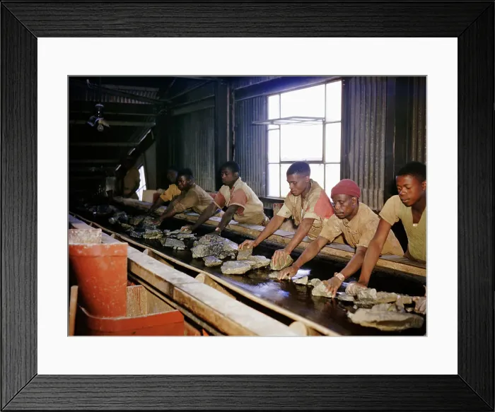 Framed Print : South African Natives at Conveyor Belt Framed Print : South African Natives at Conveyor Belt